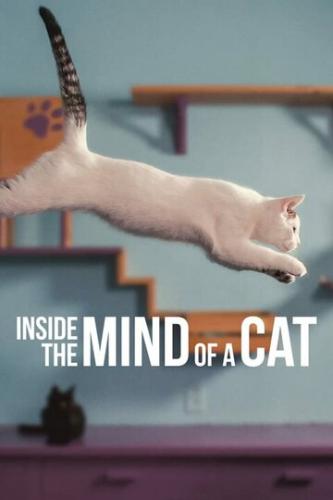     / Inside the Mind of a Cat (2022)